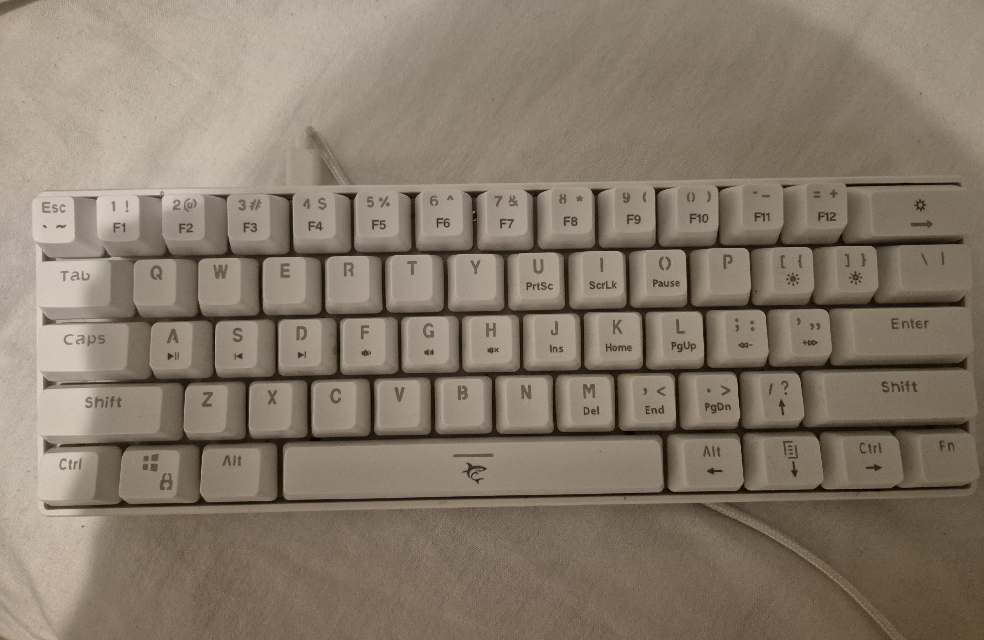 Клавиатура White  Shark