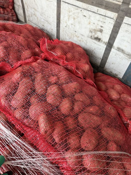 RED LADY 55+  sac stas 25 kg!