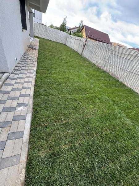 Serviciu de montaj gazon natural si rulou