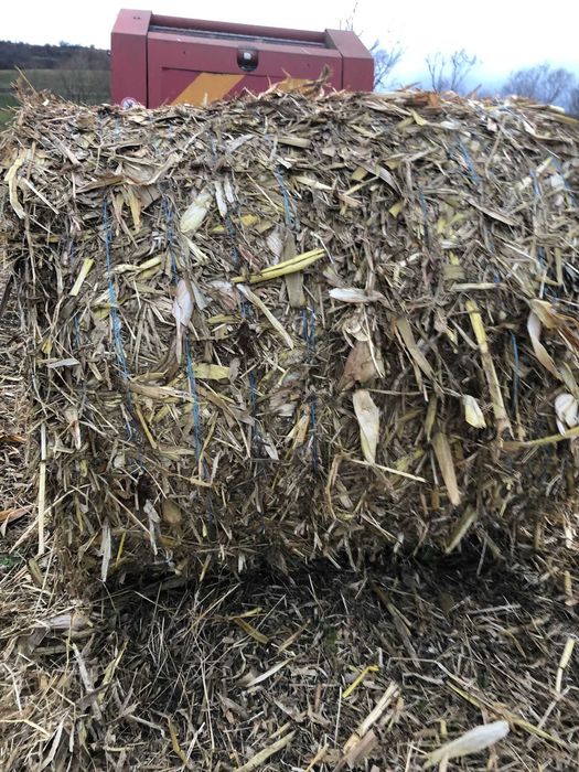 Vând baloți de tocătură de tulei