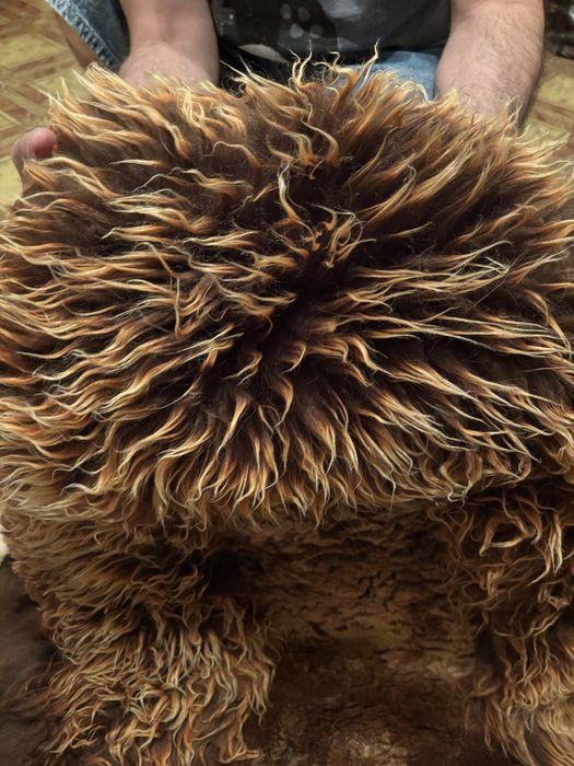 Меховые чехлы для автомобиля