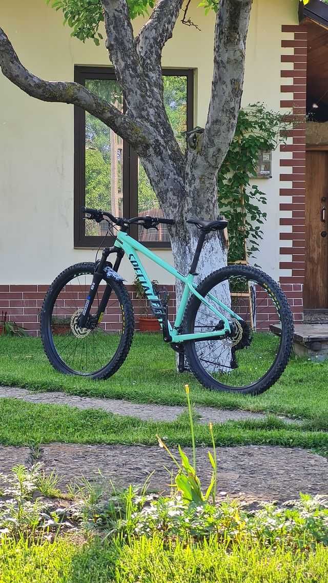 Specialized Rockhopper 29