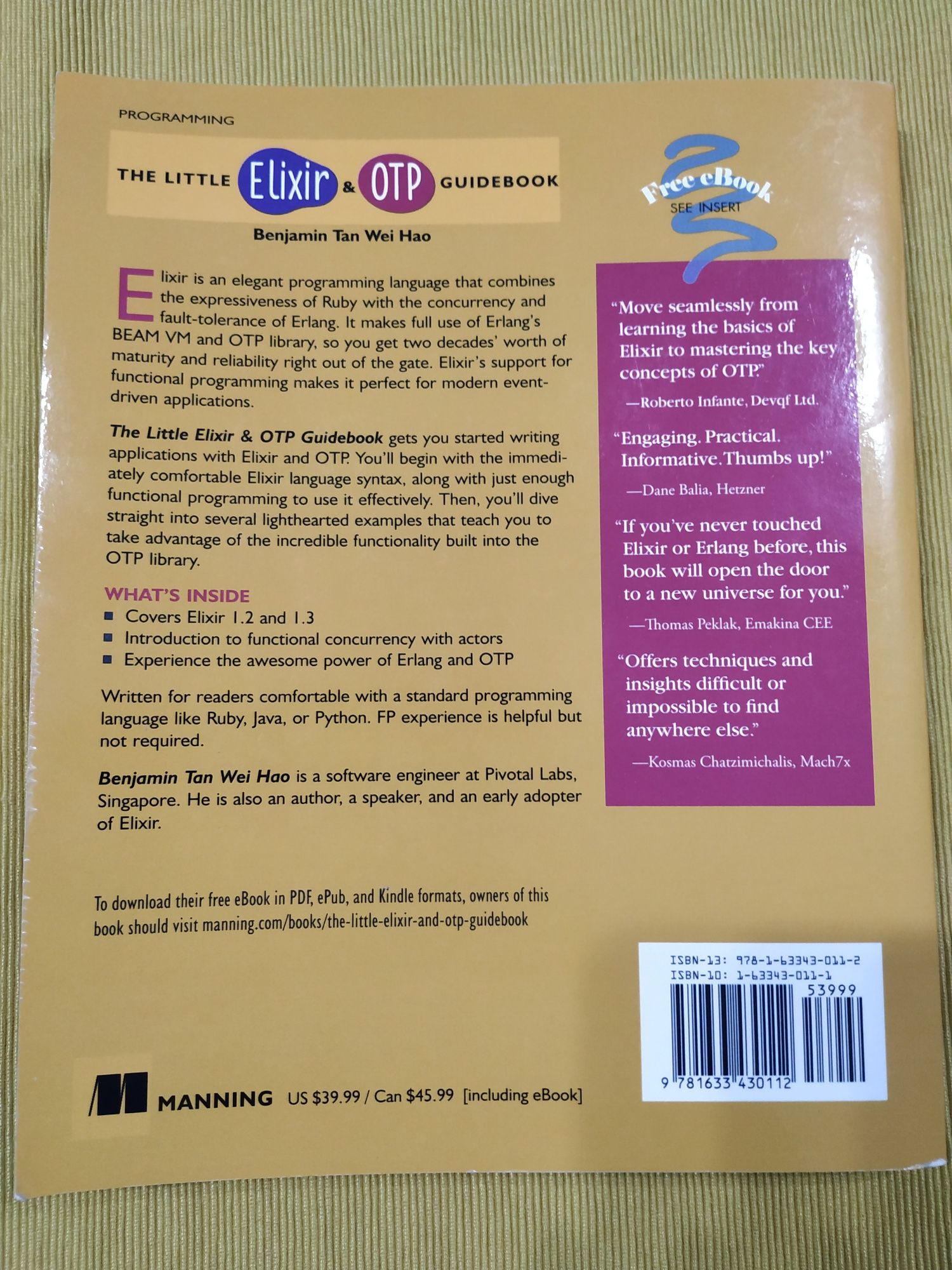 The little Elixir & OTP guidebook