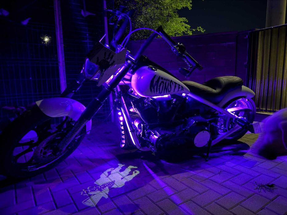 Harley-Davidson Custom 2025 - 1800 motor S&S - Big Dog Pitbull