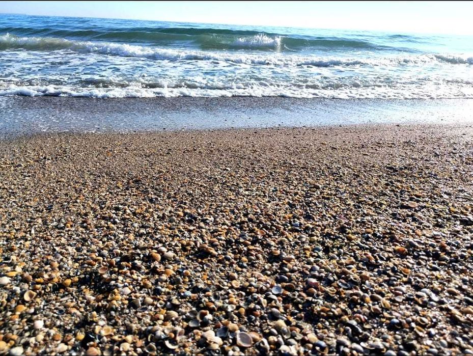 Meditații Limba română