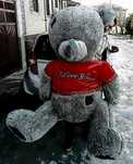 Tedy tedi teddy yumshoq o'yinchoqlar ayiq ayiqcha