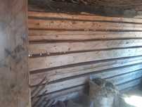 .Lemn casa demontata