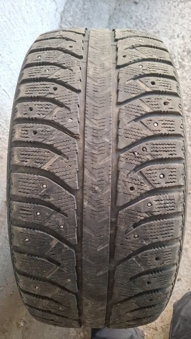 Резина шипованая 255х50х19