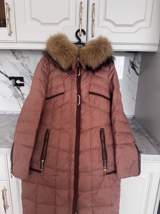 Kurtkalar hammasi zor holatta