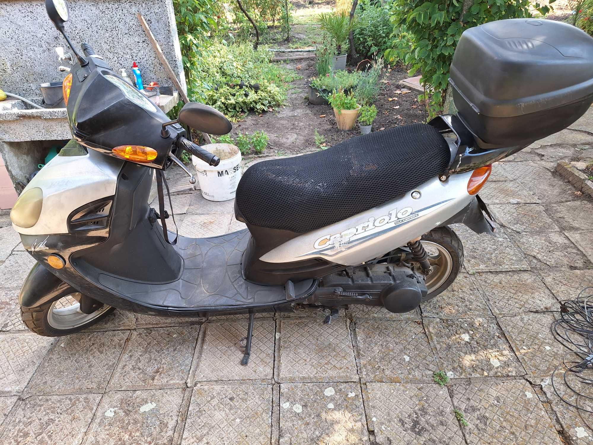 Rex capriolo 125
