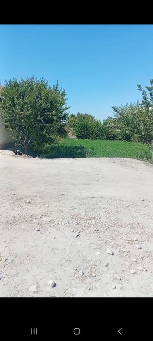 Samarqand vil ishtixon tumanida 30 sotixli hovli sotiladi 30000 $