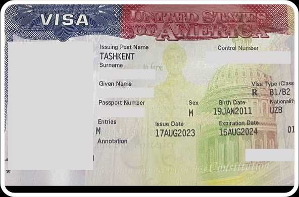 Многолетняя туристическая виза в США сроком на 1 год