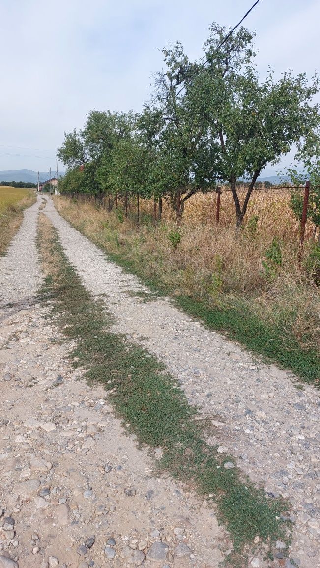 Teren intravilan Budesti, sat Ruda