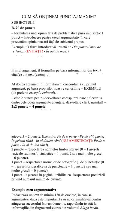 Meditații Limba Română- Pregătește-te pentru BAC alături de mine!