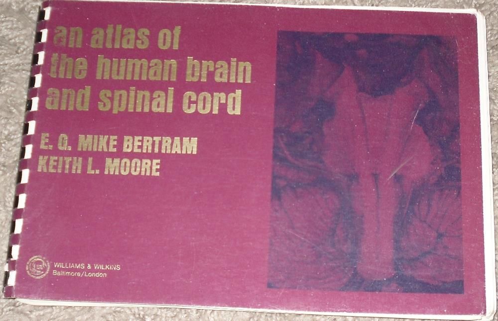 an atlas the human brain and spinal cord mike bertram