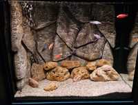 Камъни за аквариум