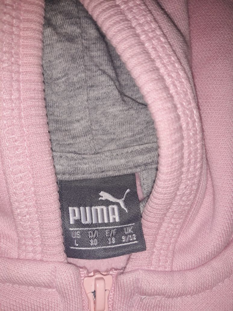 Trening puma(adidas nike zara)