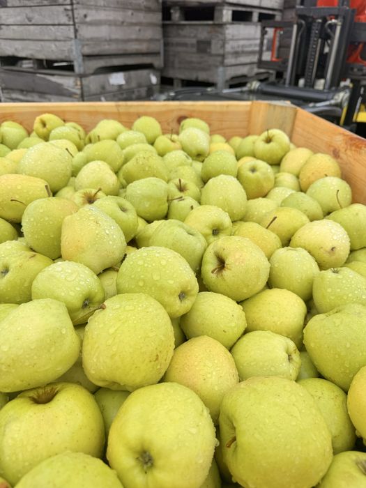 Vand mere calitatea 1