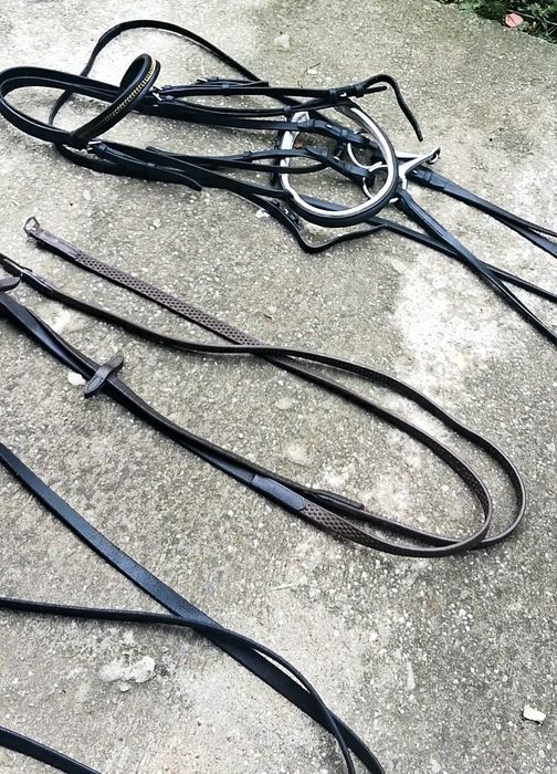 Echipamente echitație