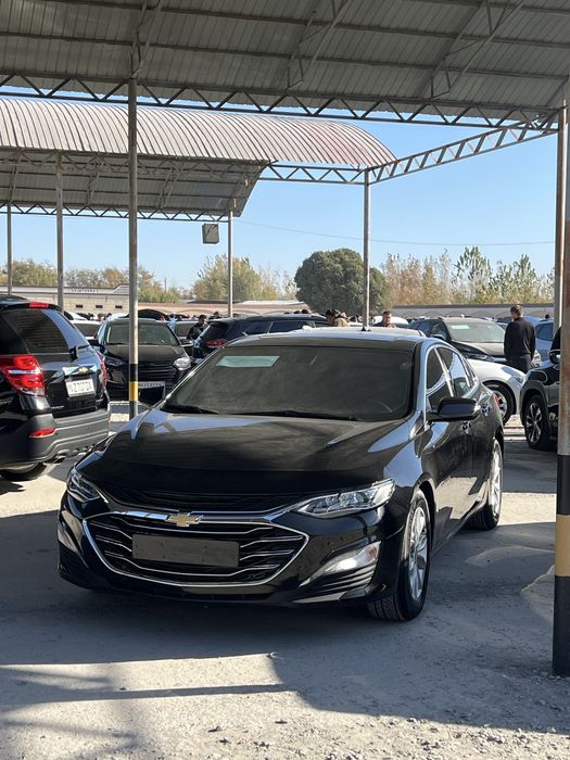 Malibu Premier 2021