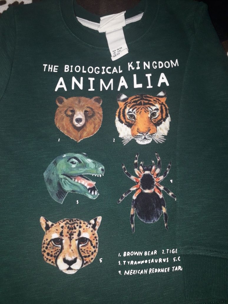 Лот детски блузи H&M 2-4г./98-104см.