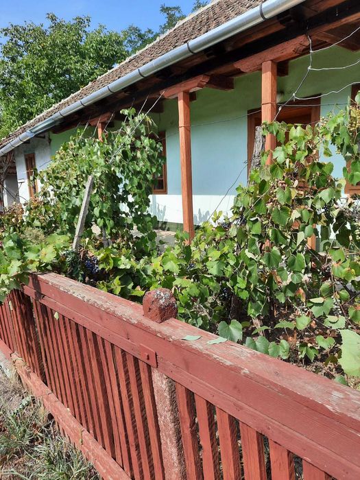 Casă spațioasă + 1 ha teren + anexe gospodărești – Dindești-Satu Mare!