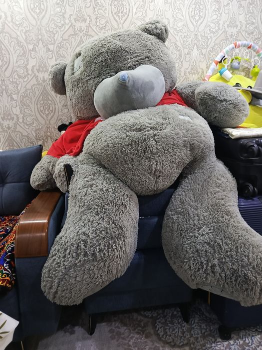 Teddy eng kotasi