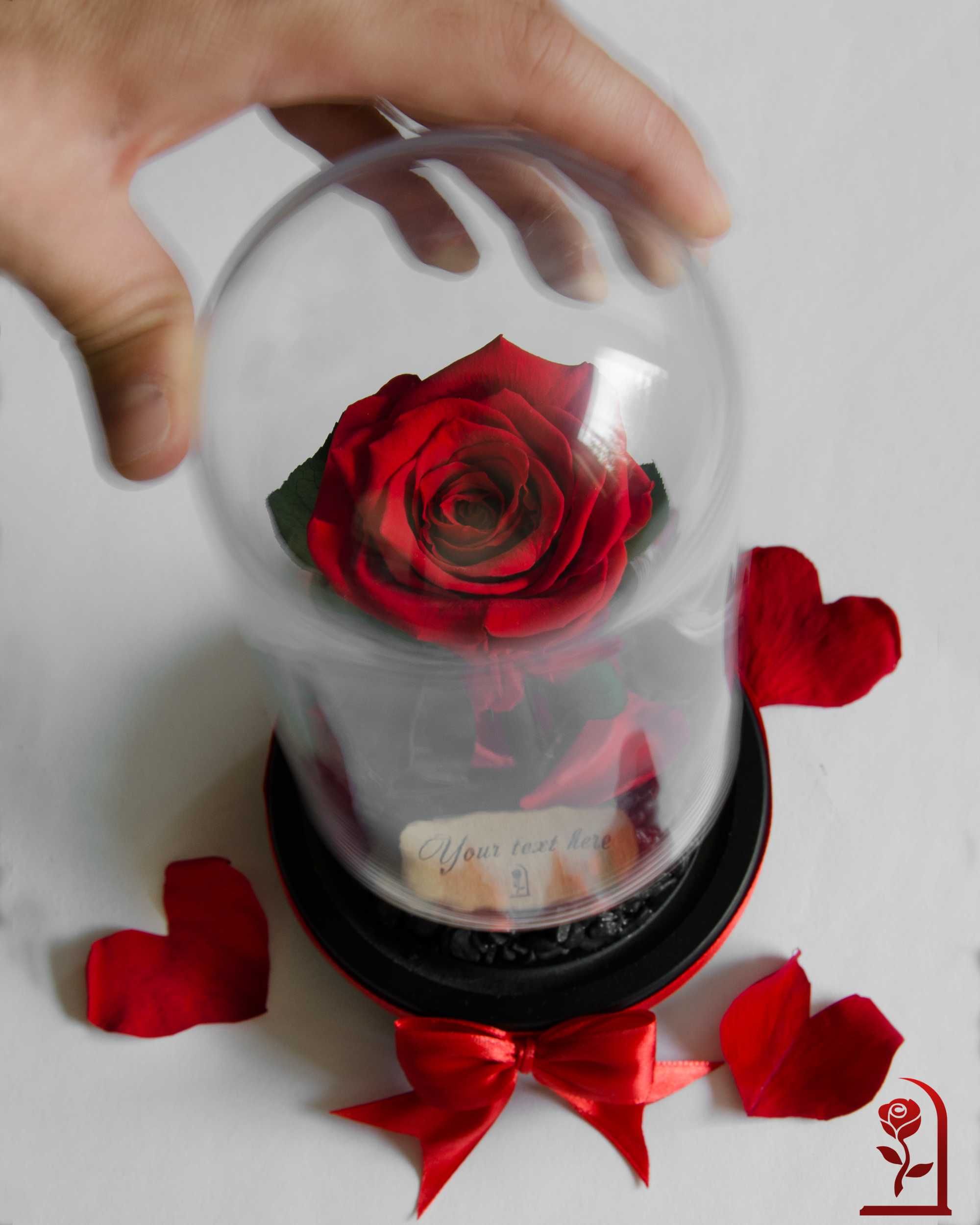 ЕСТЕСТВЕНА вечна роза в стъкленица "Красавицата и Звяра" | ХИТ Подарък