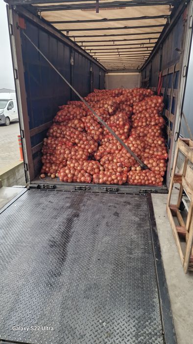 Ceapa 1.2 calitate ceapa