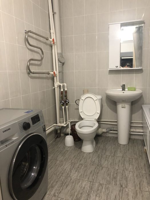 Тюльпан в хорошем состоянии