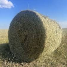 Продам сено рулон