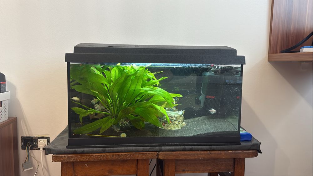 Vând acvariu cu capac si filtru