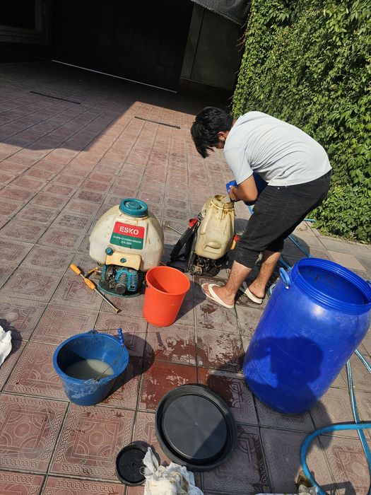 обработка ёлок кустарники,деревьев.обрезка формочки.