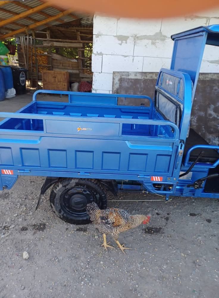 Triciclu electric