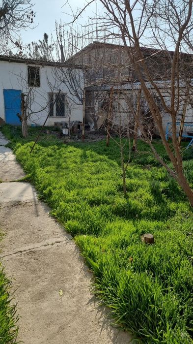 Продаю дом в Яшнабадском районе ТУЗЕЛЬ(бывш.дача железнодорожников)