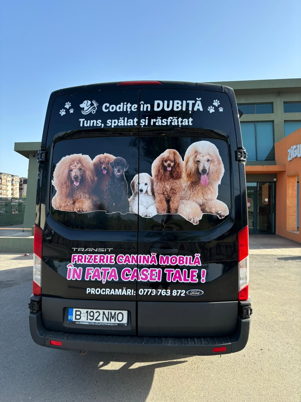 Frizerie canina mobila în fața casei tale