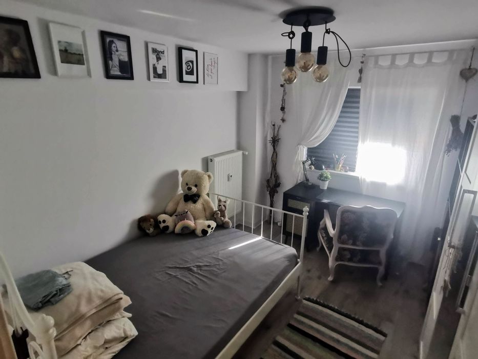 Proprietar 4 camere Mosilor modern mobilat