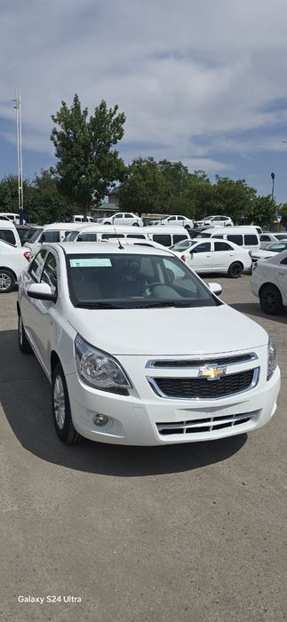 Коблт стайл МСМ Сотилади 2026