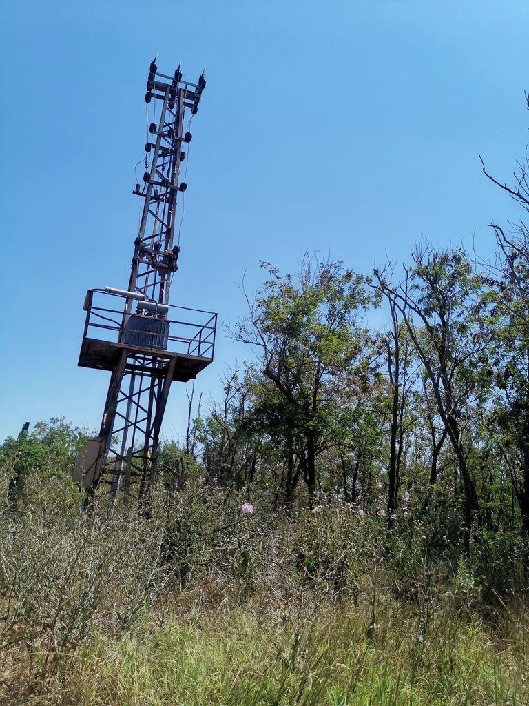 Продава се Земеделски имот в Добрич, Пинета -  кв.м за 30000 €/дка - Снимка #5