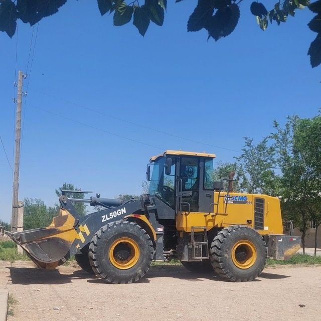 Пагуриччиу Zl50gn