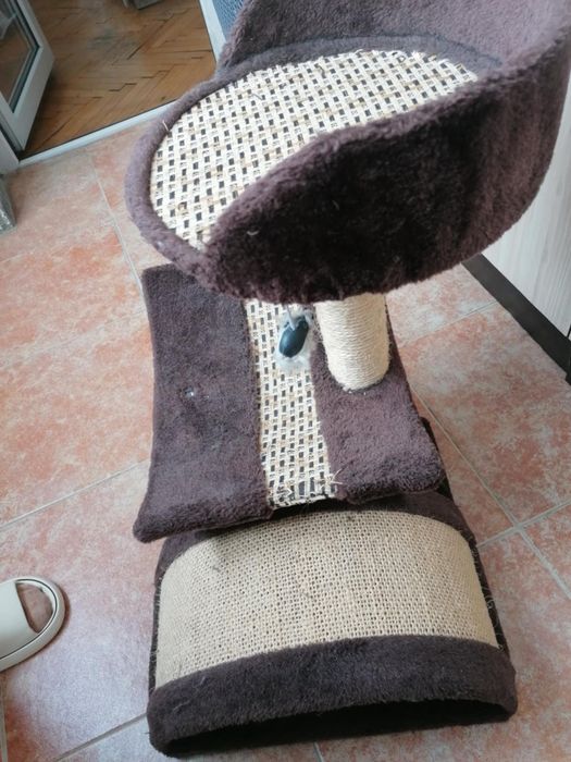 Котешка катерушка (драскалка)