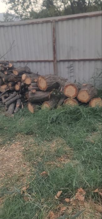 Kunda va o'tin sotiladi