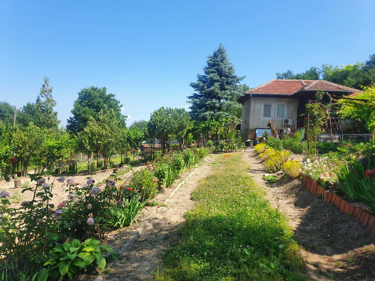 Продава се Къща в Силистра, в.з. Юг - 860 кв.м за 38 €/кв.м - Снимка #5