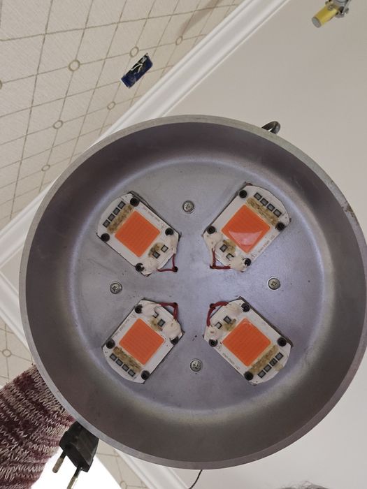 Фито лампа для растений