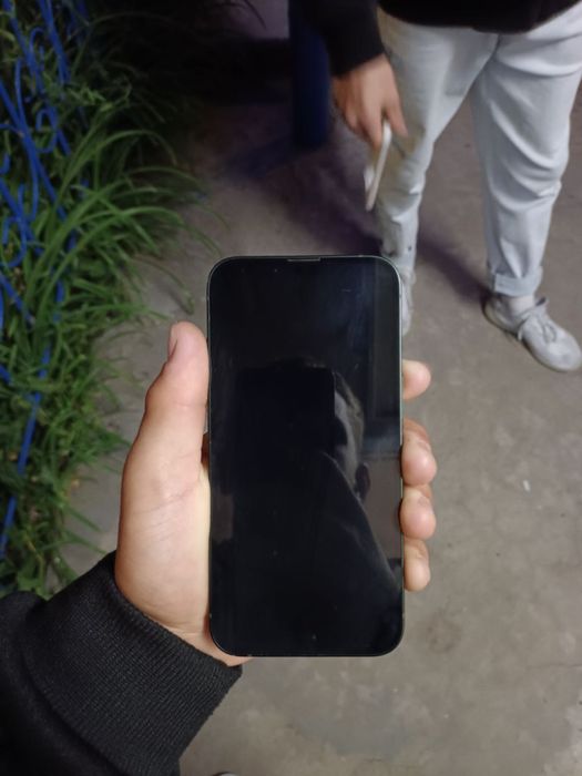 iPhone 13 88 зеленый