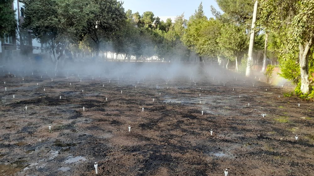 Gazon ekish lanshaft