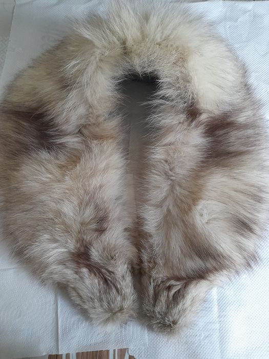 Guler mare vulpe alba polara