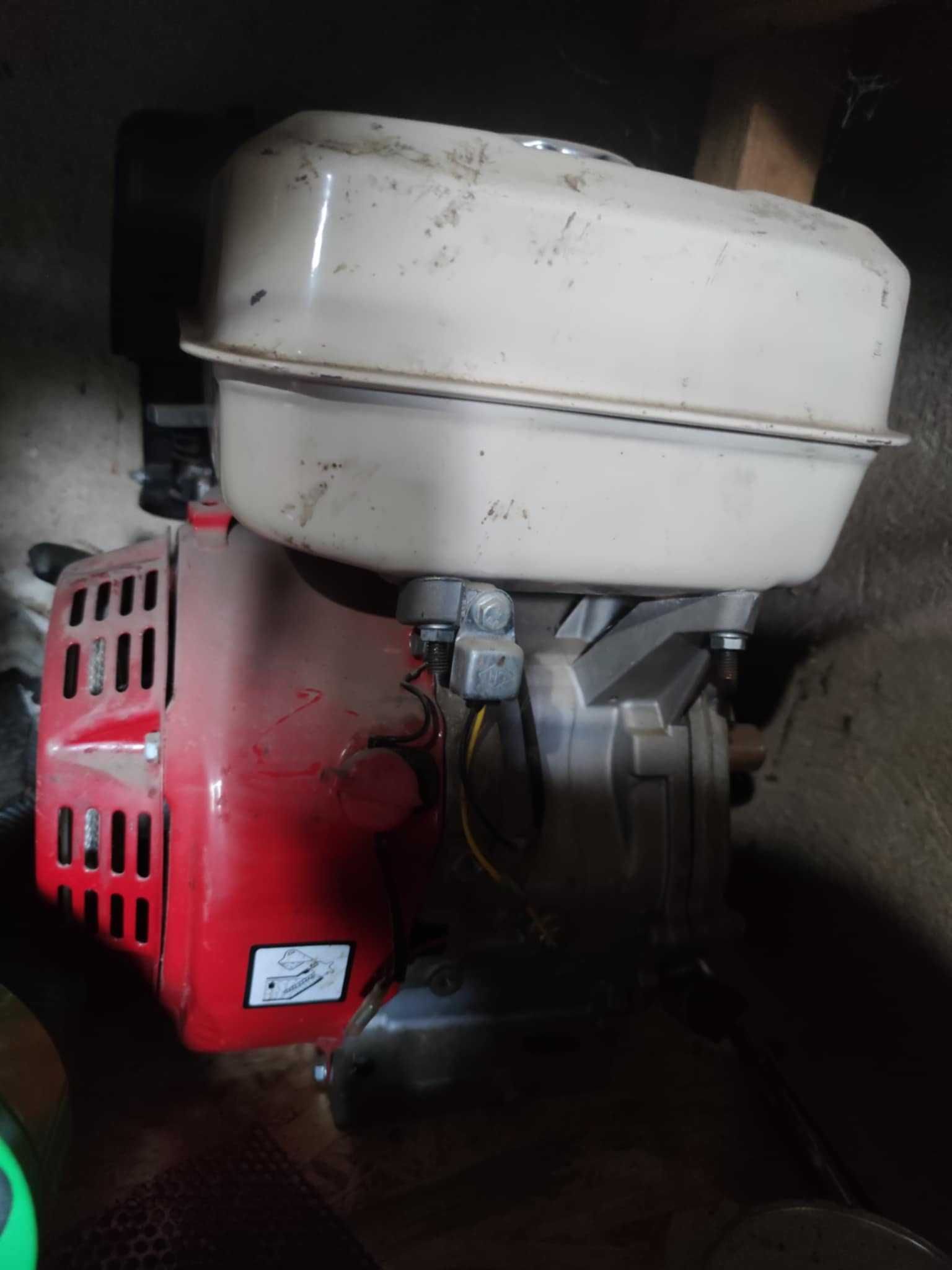 Motor 13 cai  ca nou