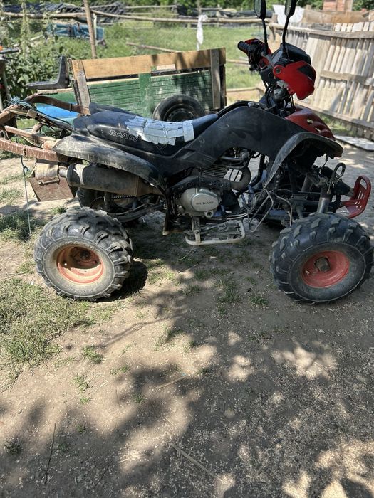 Vnad Atv Bashan Shinery