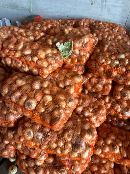 Ceapa romaneasca plată